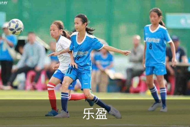 乐盈公司介绍